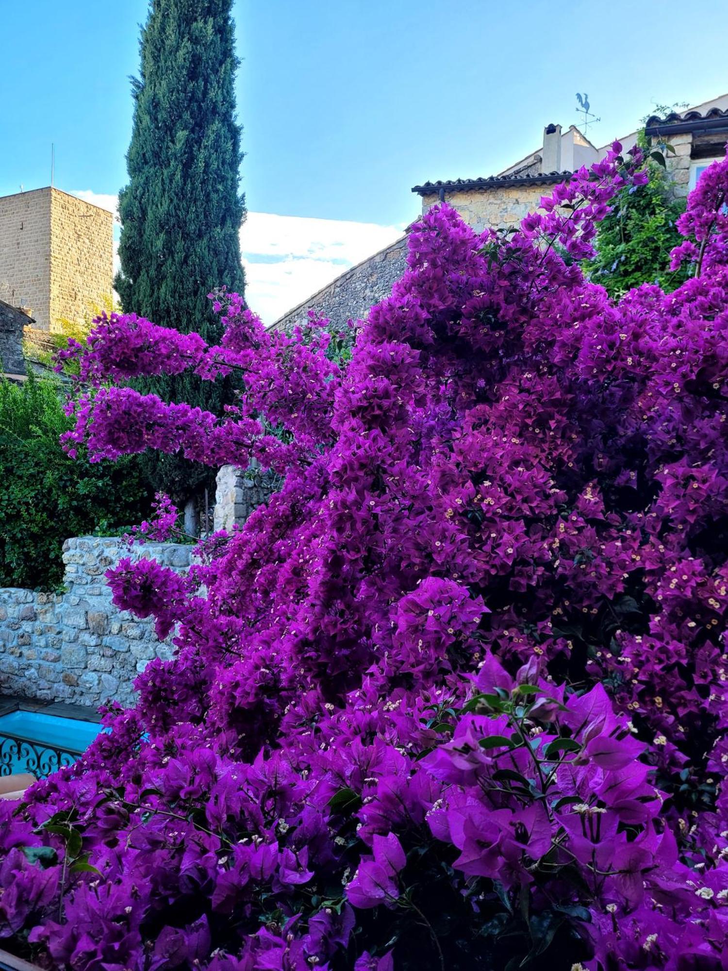 Villa Arca Les Arcs-sur-Argens Exterior foto