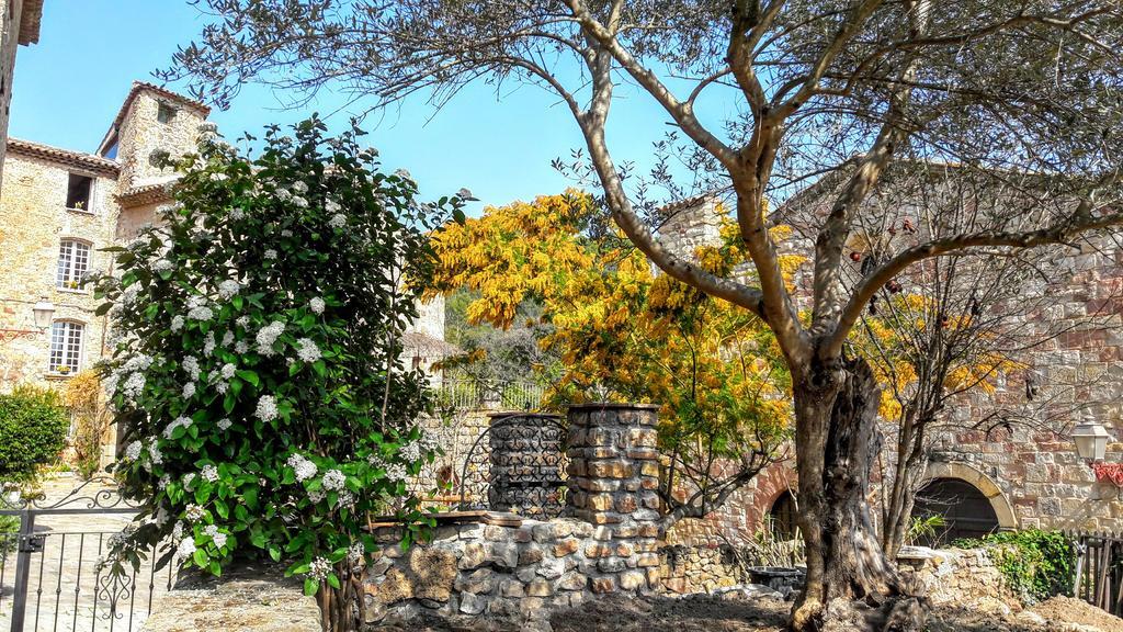 Villa Arca Les Arcs-sur-Argens Exterior foto